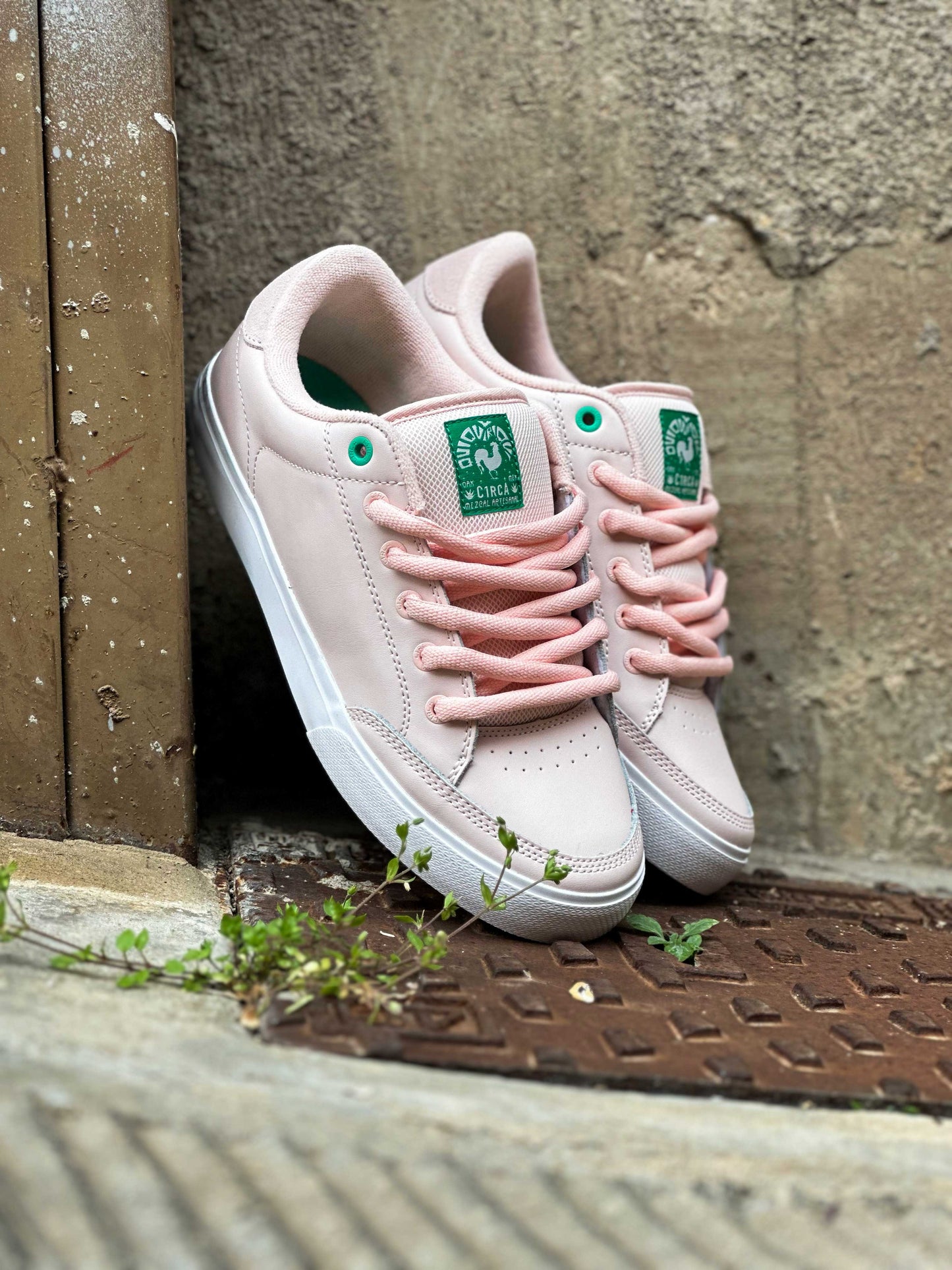 AL 50 QQRQ Paloma/Blarney/White - C1RCA